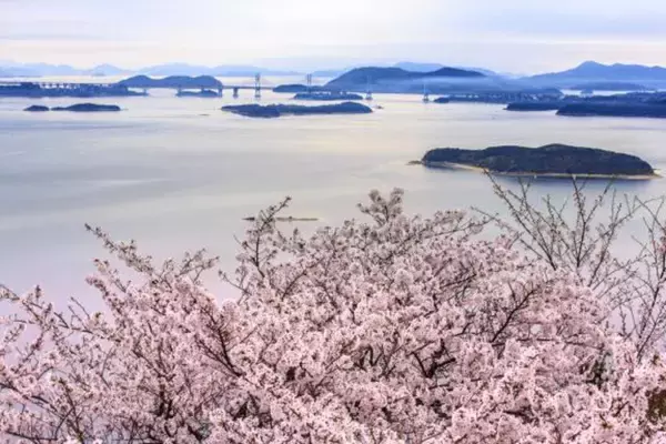 「桜色の電車で行きたい、岡山屈指のお花見スポット5選と「扇形機関庫」を巡る春の鉄道旅、2026岡山の桜は3/27前後の開花予想！」の画像