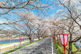 「桜色の電車で行きたい、岡山屈指のお花見スポット5選と「扇形機関庫」を巡る春の鉄道旅、2026岡山の桜は3/27前後の開花予想！」の画像12