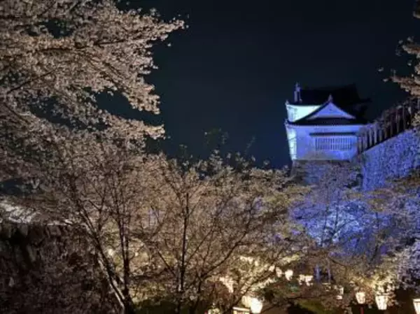 「桜色の電車で行きたい、岡山屈指のお花見スポット5選と「扇形機関庫」を巡る春の鉄道旅、2026岡山の桜は3/27前後の開花予想！」の画像