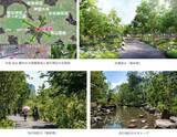 「【表参道･外苑前】都会の真ん中に1haの「森」が出現、青山最大級の超高層ビル！東京建物･東急不･URらが仕掛ける地上38階の巨大複合施設」の画像6