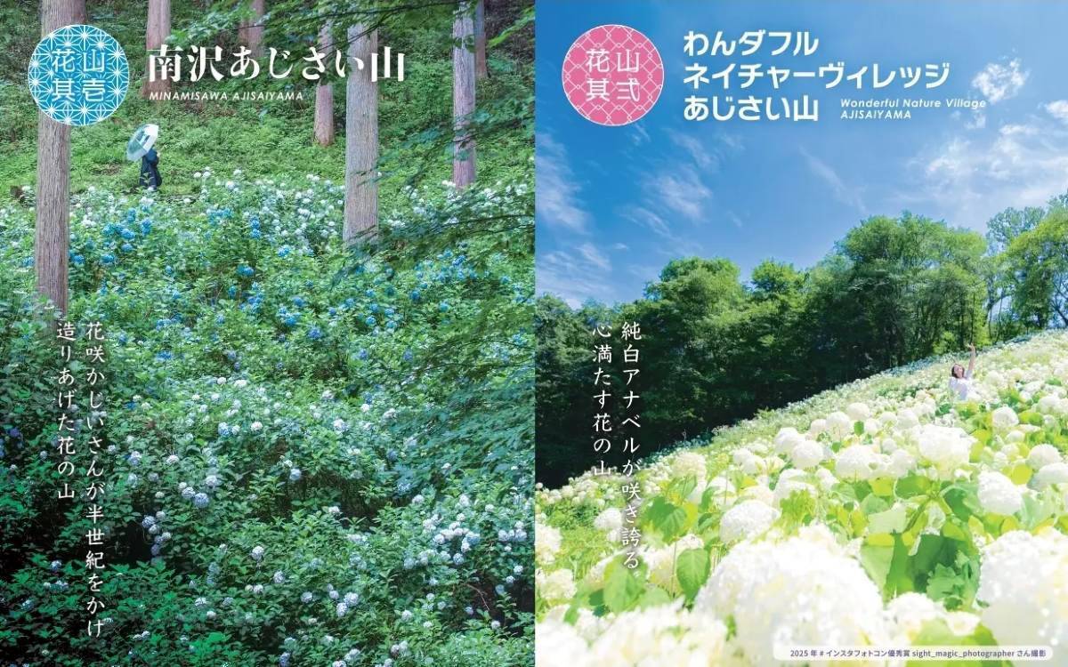 2026年は秋川渓谷あじさいまつりへ！ 南沢あじさい山と東京サマーランド、2大スポットの3万株が咲き誇る絶景＆アクセス完全ガイド