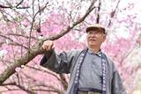 「2026年は秋川渓谷あじさいまつりへ！ 南沢あじさい山と東京サマーランド、2大スポットの3万株が咲き誇る絶景＆アクセス完全ガイド」の画像4