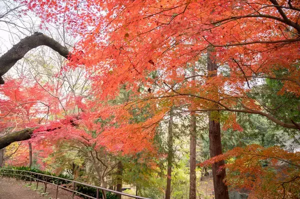 「都営地下鉄×東京メトロ共同企画！都立公園「読書の秋スタンプラリー」芝公園･木場公園など3ヶ所巡る東京お散歩旅10/30～」の画像