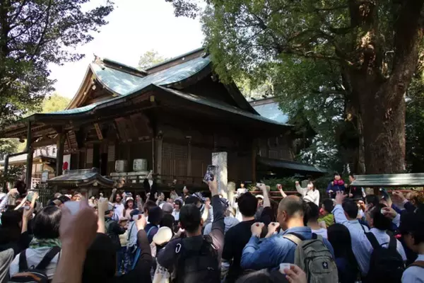 「発酵の里こうざき酒蔵まつり2026」3/15開催！ 新宿から直通特急「あやめ」復活、成田エクスプレス臨時停車も(千葉県香取郡神崎町)