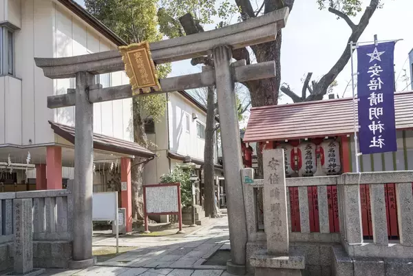 「2026年初詣【大阪の午年パワースポット5選】住吉大社の白馬神事や阿倍野の並べて完成1000体限定の飾馬御朱印など！商売繁盛祈願を」の画像