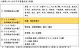 「小田急「新型ロマンスカー80000形」2029年デビューへ、新宿駅の巨大再開発や3000形AI防犯カメラリ導入など、2026年度設備投資586億円」の画像5