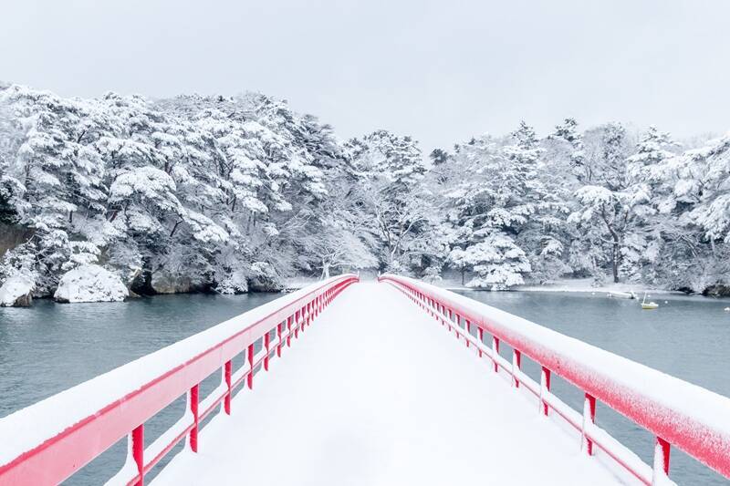 東京から90分、冬の宮城へ！絶景”蔵王の樹氷” に新名所 “ラプラス公園”、イルミネーション、冬の松島などおすすめ観光ガイド