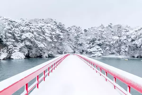 「東京から90分、冬の宮城へ！絶景”蔵王の樹氷” に新名所 “ラプラス公園”、イルミネーション、冬の松島などおすすめ観光ガイド」の画像