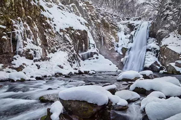 「東京から90分、冬の宮城へ！絶景”蔵王の樹氷” に新名所 “ラプラス公園”、イルミネーション、冬の松島などおすすめ観光ガイド」の画像
