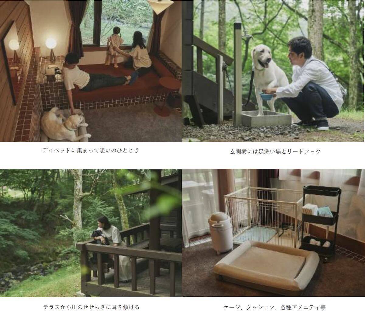 【長野・蓼科】愛犬と泊まれる避暑地リゾート！蓼科 東急ホテルに「ペットウェルカムコテージ」が8月20日オープン