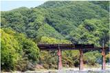 「沿線の行政や酒蔵とコラボ　秩父鉄道が７月２、３日に「SLパレオエクスプレス」の冠列車運行」の画像1