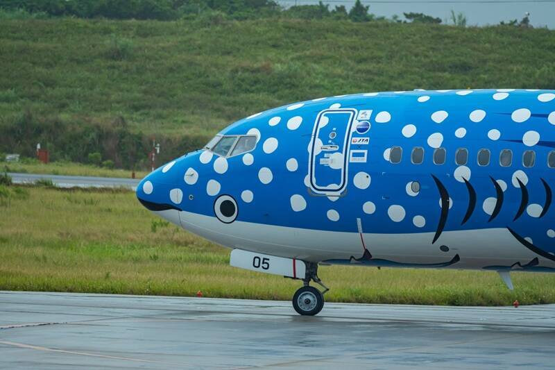 JALジンベエジェット3号機「結ジンベエ」 就航へ！青･ピンクに続くは”緑”、世界自然遺産登録5周年を記念し 沖縄 美ら海水族館と共創！