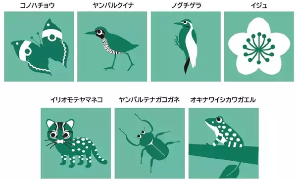 「JALジンベエジェット3号機「結ジンベエ」 就航へ！青･ピンクに続くは”緑”、世界自然遺産登録5周年を記念し 沖縄 美ら海水族館と共創！」の画像