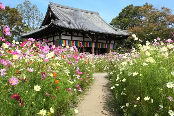 「【予約開始】星野リゾート「星のや奈良監獄」が6月に開業！重要文化財･旧監獄をリノベした全48室スイートの情報を公開（奈良市）」の画像