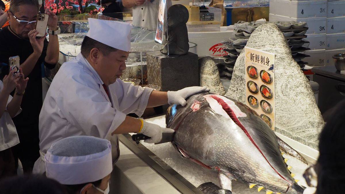 【東京最大級】タラバガニや鮑、牡蠣……高級食材食べ放題の海鮮ビュッフェが登場！パフォーマンスにも力を入れる『銀座四海』で楽しいランチを【銀座一丁目駅徒歩1分】