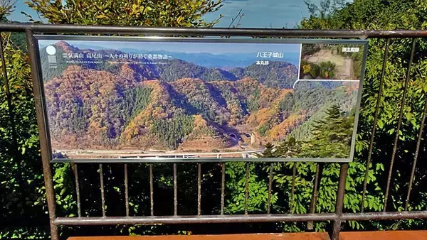 「登山開始「蛸杉」にご挨拶【駅ぶら】06京王電鉄256　高尾線46（高尾登山電鉄04）」の画像