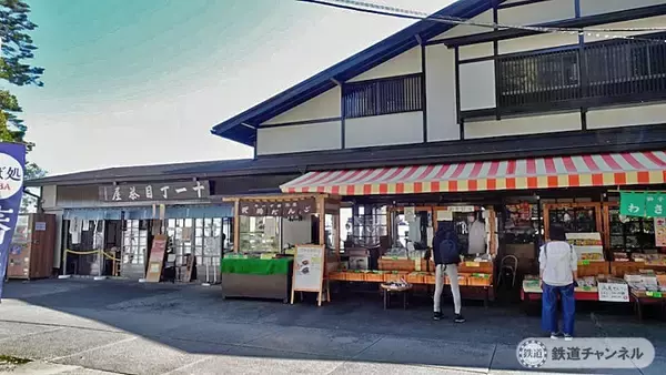 「登山開始「蛸杉」にご挨拶【駅ぶら】06京王電鉄256　高尾線46（高尾登山電鉄04）」の画像