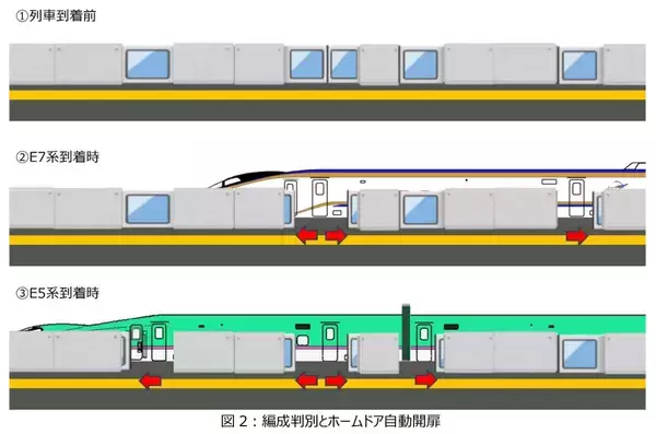 「JR東日本の新幹線東京駅にホームドアを導入へ！E5系･E7系など多様な編成に自動対応」の画像
