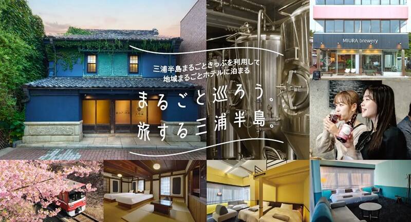 開花に合わせて開催を前倒し！ 河津桜と菜の花の競演を楽しむ「三浦海岸桜まつり」2/5スタート！ 桜装飾列車の運行も(神奈川県三浦市)