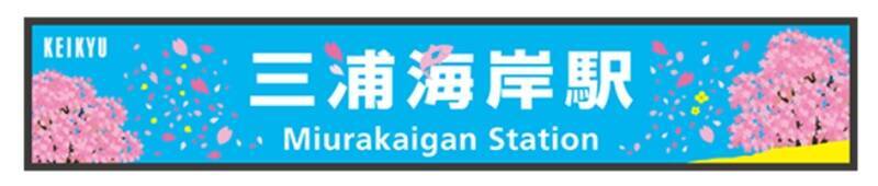 開花に合わせて開催を前倒し！ 河津桜と菜の花の競演を楽しむ「三浦海岸桜まつり」2/5スタート！ 桜装飾列車の運行も(神奈川県三浦市)