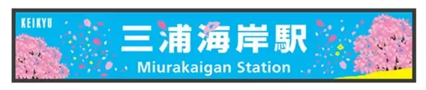 「開花に合わせて開催を前倒し！ 河津桜と菜の花の競演を楽しむ「三浦海岸桜まつり」2/5スタート！ 桜装飾列車の運行も(神奈川県三浦市)」の画像