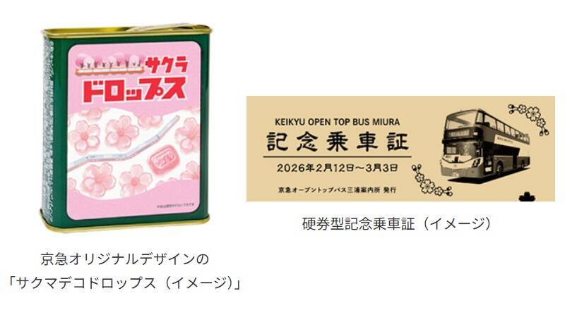 開花に合わせて開催を前倒し！ 河津桜と菜の花の競演を楽しむ「三浦海岸桜まつり」2/5スタート！ 桜装飾列車の運行も(神奈川県三浦市)