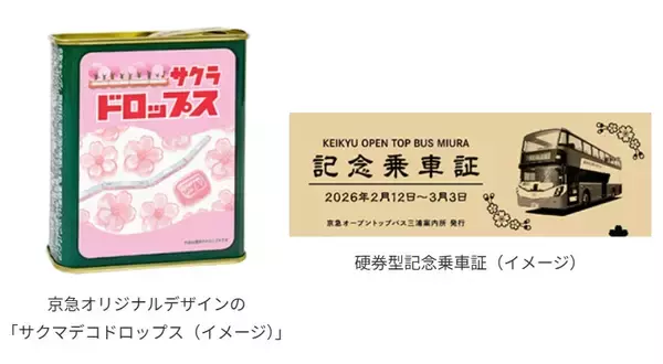 「開花に合わせて開催を前倒し！ 河津桜と菜の花の競演を楽しむ「三浦海岸桜まつり」2/5スタート！ 桜装飾列車の運行も(神奈川県三浦市)」の画像