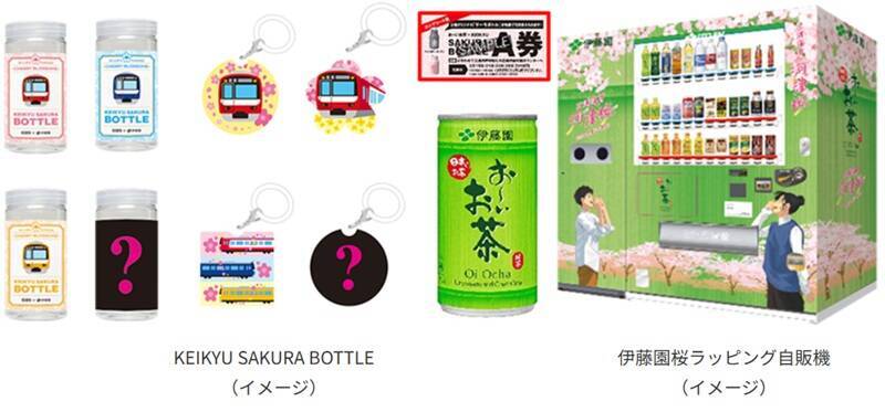 開花に合わせて開催を前倒し！ 河津桜と菜の花の競演を楽しむ「三浦海岸桜まつり」2/5スタート！ 桜装飾列車の運行も(神奈川県三浦市)