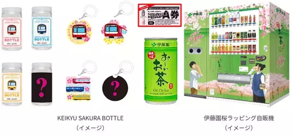 「開花に合わせて開催を前倒し！ 河津桜と菜の花の競演を楽しむ「三浦海岸桜まつり」2/5スタート！ 桜装飾列車の運行も(神奈川県三浦市)」の画像