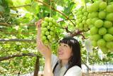 「【2026最新】岡山観光1泊2日モデルコース3選！絶景＆旬のフルーツを満喫する夏〜秋の旅」の画像1