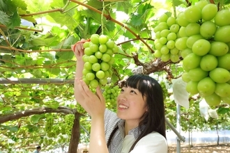【2026最新】岡山観光1泊2日モデルコース3選！絶景＆旬のフルーツを満喫する夏〜秋の旅