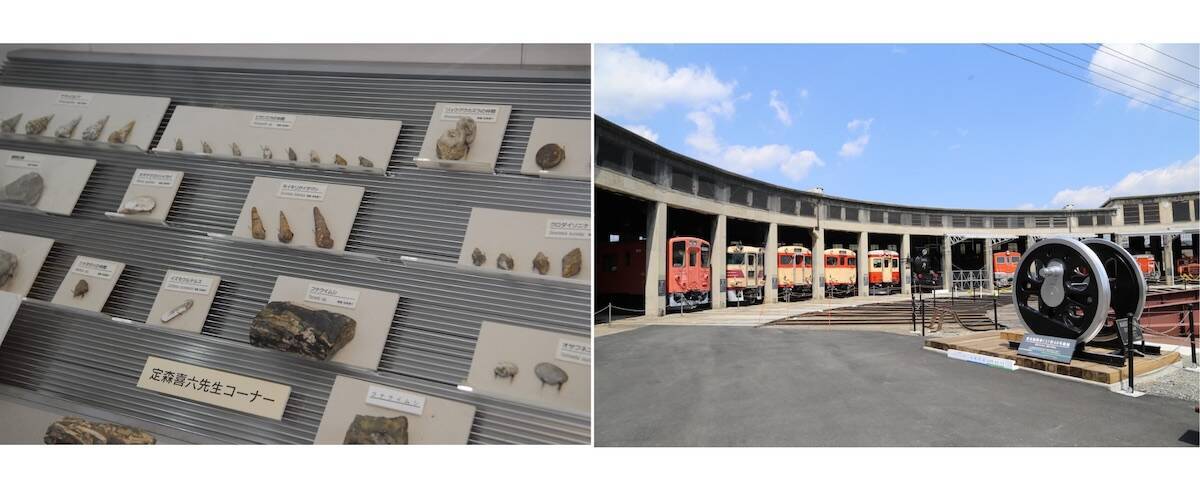 【2026最新】岡山観光1泊2日モデルコース3選！絶景＆旬のフルーツを満喫する夏〜秋の旅