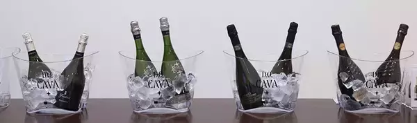 「スペイン大使館 CAVA DISCOVERY MUSEUM でスペイン産スパークリングワイン CAVA の世界と歴史を体感！ 10/5まで入場無料で開催、各日先着50名は試飲も！」の画像