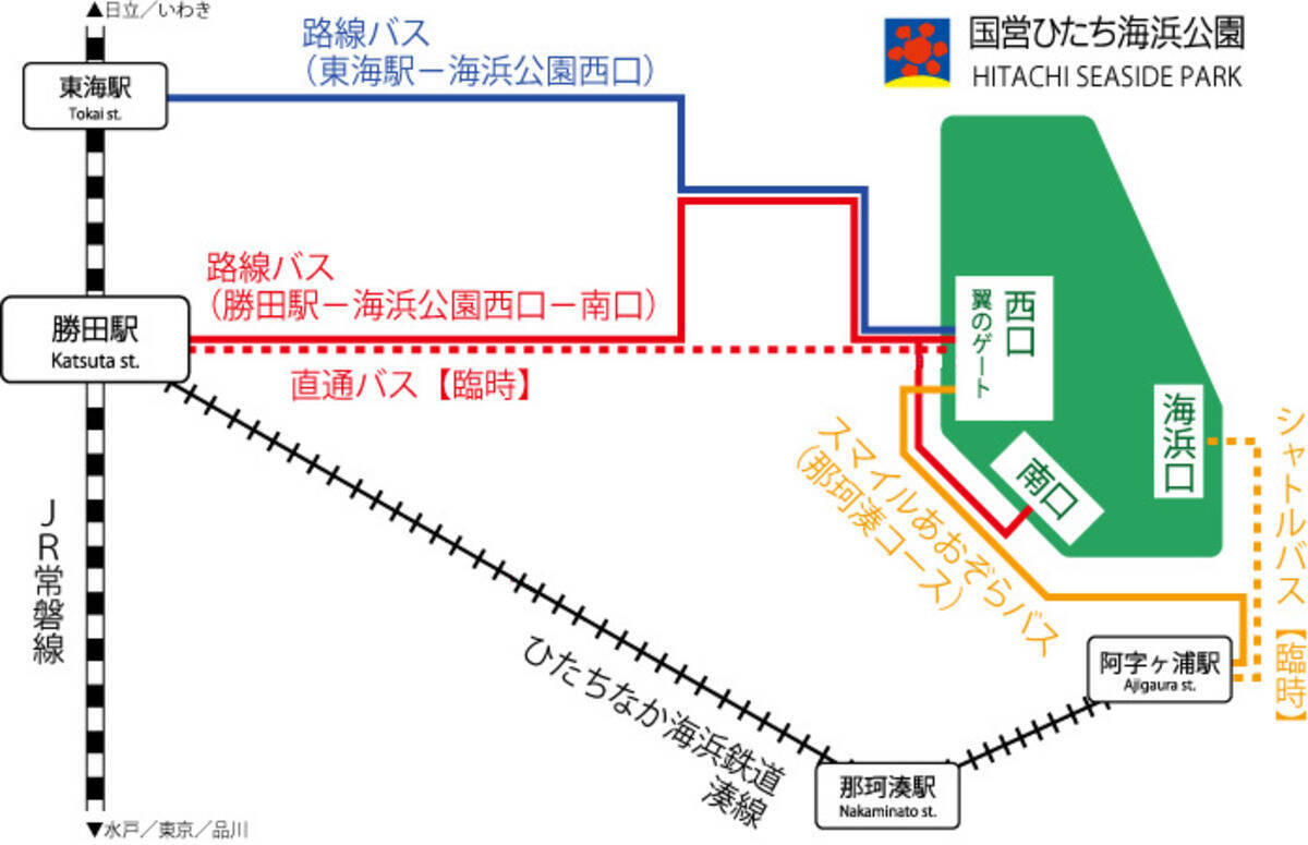 丘一面が赤く染まる秋の絶景へワープ？ 首都圏から乗り換えなしでひたち海浜公園へ！ コキアの見頃と特急「絶景赤コキア」運転日と予約方法