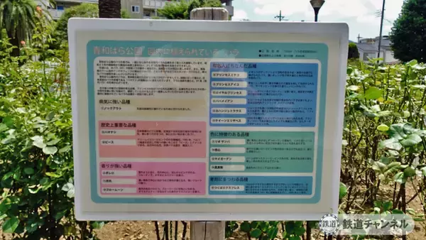 「つくばエクスプレス【駅ぶら】024　青井駅　その2　青和ばら公園　綾瀬川方面へ」の画像