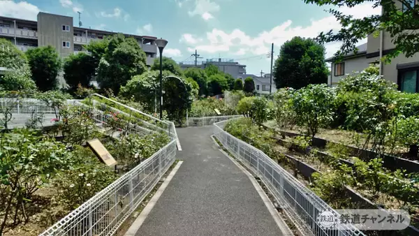 「つくばエクスプレス【駅ぶら】024　青井駅　その2　青和ばら公園　綾瀬川方面へ」の画像