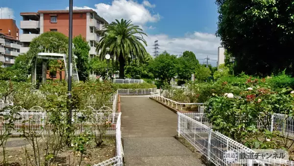 「つくばエクスプレス【駅ぶら】024　青井駅　その2　青和ばら公園　綾瀬川方面へ」の画像