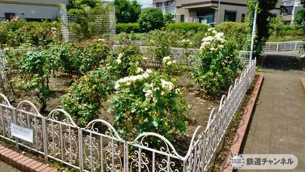 「つくばエクスプレス【駅ぶら】024　青井駅　その2　青和ばら公園　綾瀬川方面へ」の画像