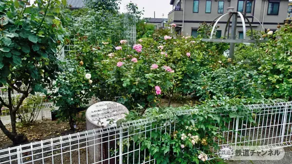 「つくばエクスプレス【駅ぶら】024　青井駅　その2　青和ばら公園　綾瀬川方面へ」の画像