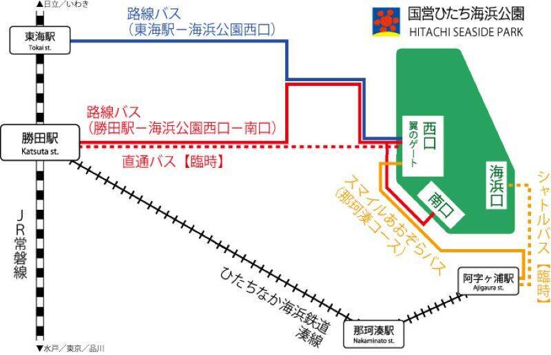 【2026最新】国営ひたち海浜公園のネモフィラが見頃に！ 530万本の青い丘と「赤い扉」の新演出、「青いグルメ」も充実（茨城県ひたちなか市）