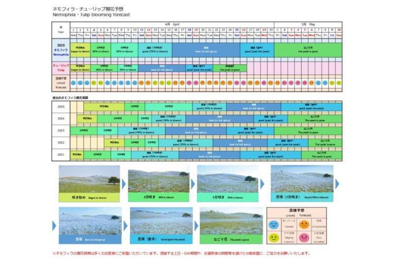 【2026最新】国営ひたち海浜公園のネモフィラが見頃に！ 530万本の青い丘と「赤い扉」の新演出、「青いグルメ」も充実（茨城県ひたちなか市）