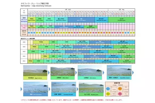 「【2026最新】国営ひたち海浜公園のネモフィラが見頃に！ 530万本の青い丘と「赤い扉」の新演出、「青いグルメ」も充実（茨城県ひたちなか市）」の画像