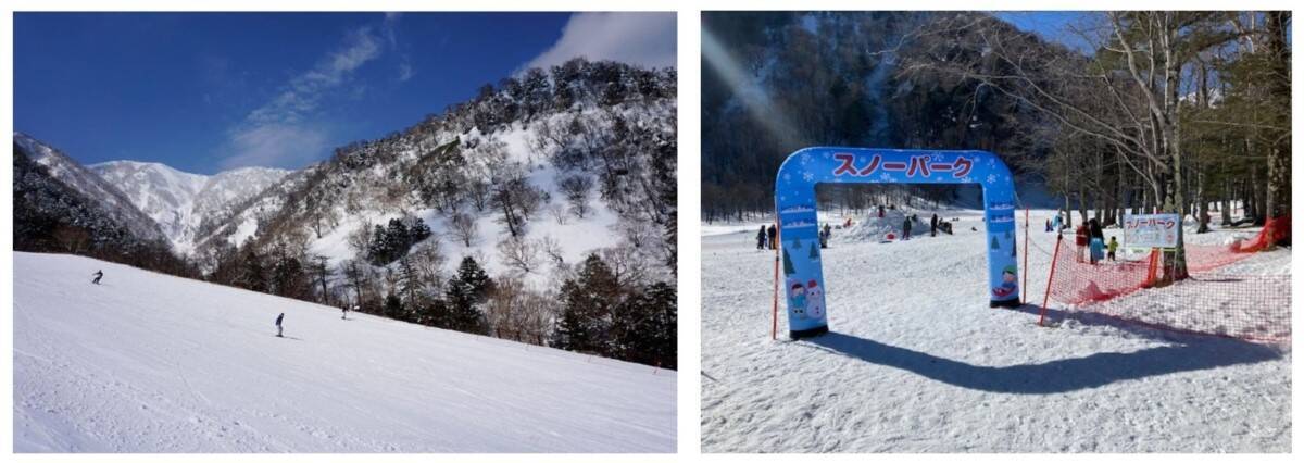 SL大樹にサンタが登場！？クリスマス限定イベントや幻想的なイルミネーションで日光の冬がアツい！