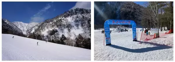 「SL大樹にサンタが登場！？クリスマス限定イベントや幻想的なイルミネーションで日光の冬がアツい！」の画像