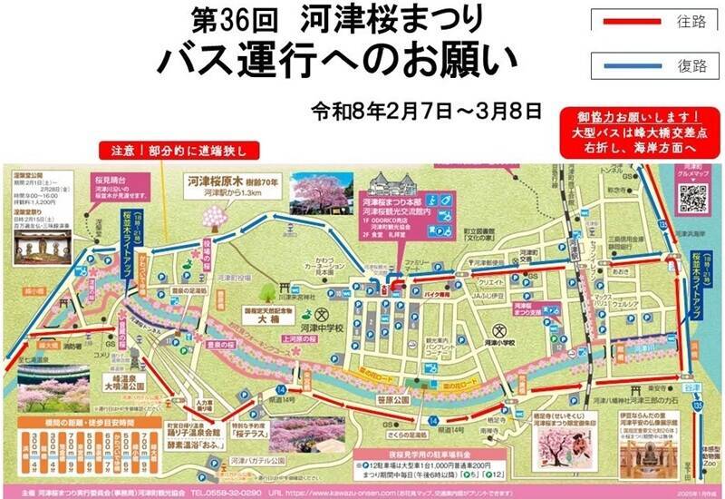 第36回河津桜まつりガイド【2/7～3/8】約850本の桜が川沿いを彩る早咲き桜の聖地、見頃時期やライトアップ･アクセス･ループ橋の絶景まで紹介