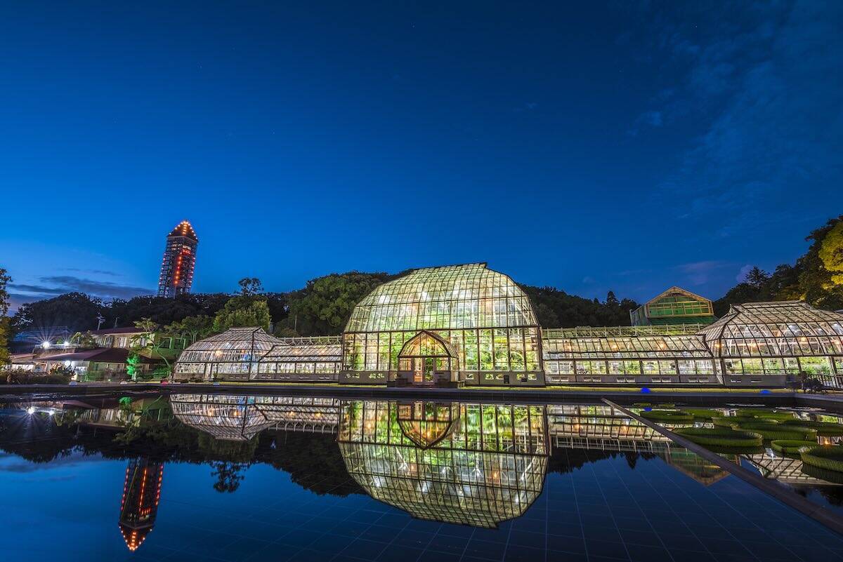 【2026年版】夏休みに家族で夜の動物園はいかが？東山動植物園＆のんほいパーク「ナイトZOO」開催情報