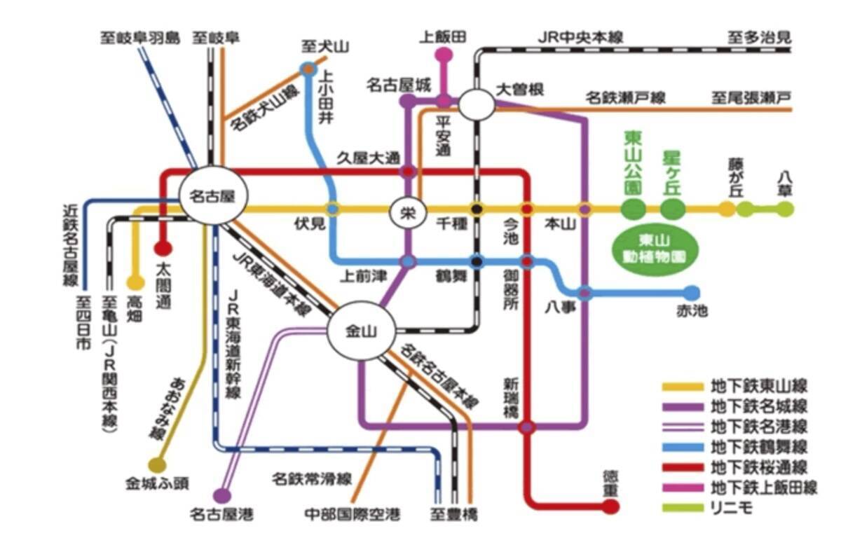 【2026年版】夏休みに家族で夜の動物園はいかが？東山動植物園＆のんほいパーク「ナイトZOO」開催情報