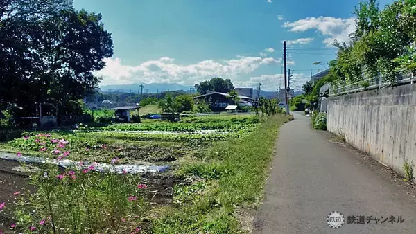 「牧歌的な風景の中を散歩【駅ぶら】06京王電鉄224　高尾線14」の画像