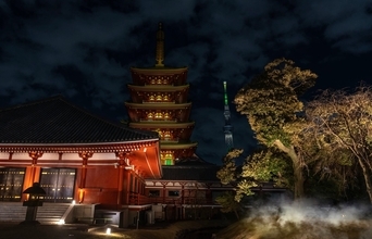 浅草寺の非公開庭園「伝法院庭園」と絵馬堂を5日間だけ特別拝観、10/30～11/3まで！浅草駅徒歩5分で夜はライトアップも