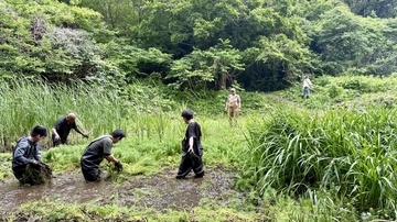 【京急の社有林に潜入】三浦半島「みうらの森林（もり）」でゴンチャが茶畑づくり!? 駅ベンチやアオリイカの産卵床へ繋がる、鉄道会社の知られざる環境保全活動